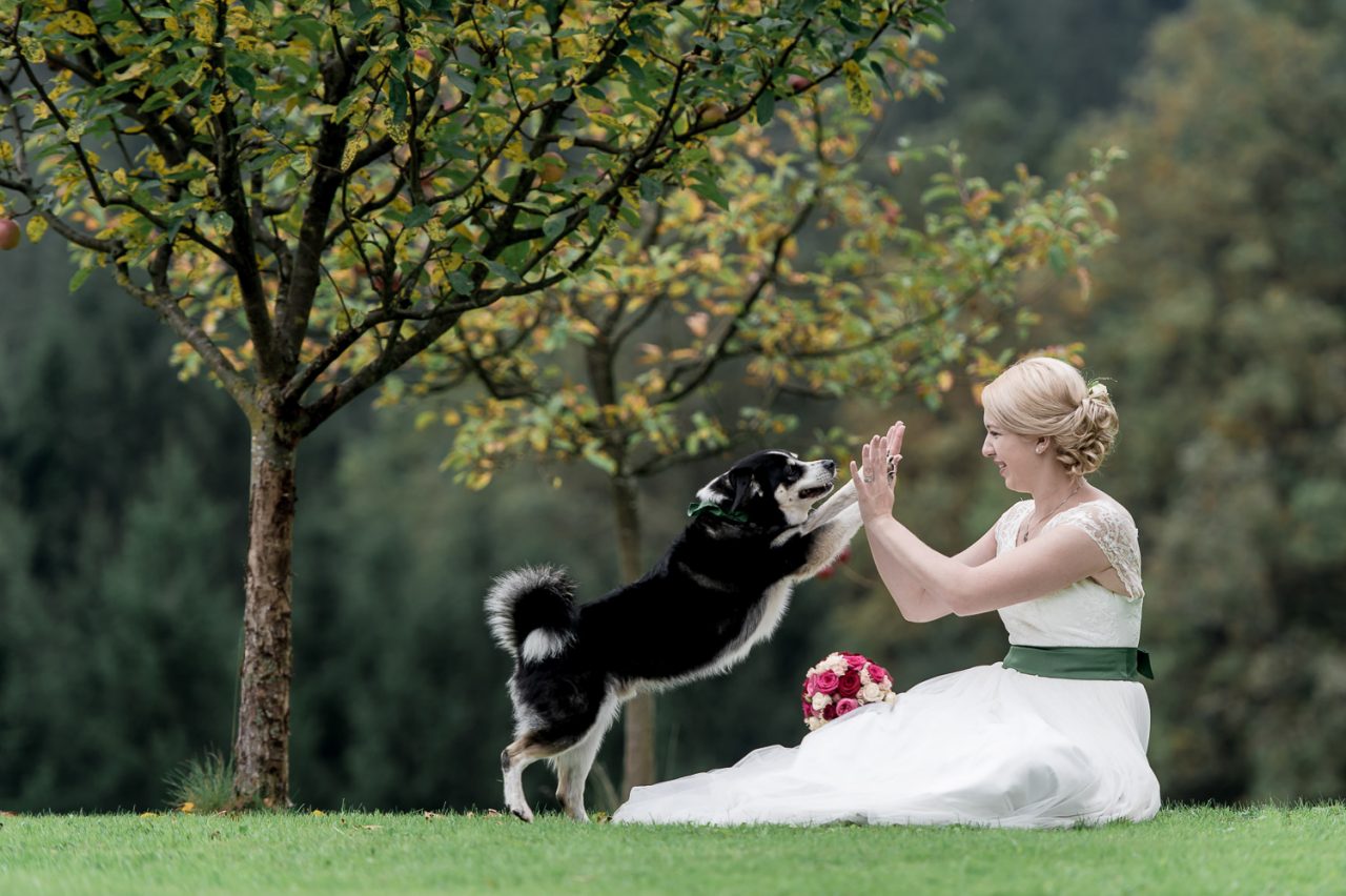 Braut mit ihrem Hund