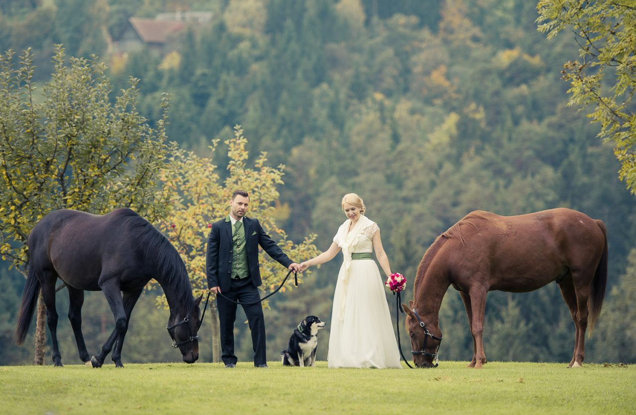 Brautpaar mit Pferden